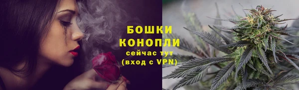 мескалин Бородино