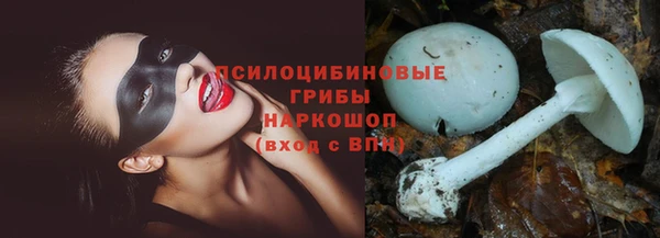 трава Нягань