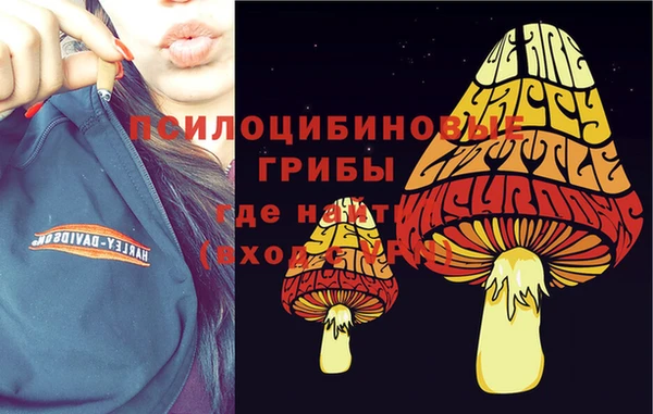 ALPHA PVP Бугульма