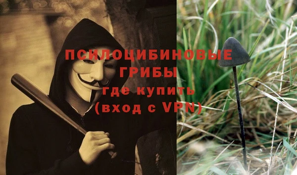мескалин Бородино