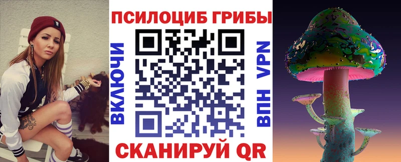 где найти наркотики  Нижнекамск  Галлюциногенные грибы GOLDEN TEACHER 