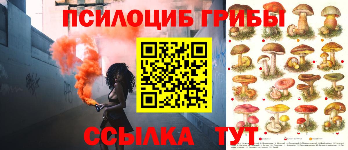 Гашиш  Cocaine  МЕФ кристаллы  Нижнекамск  Лсд 25  Марихуана  Гашиш  Вход с VPN 